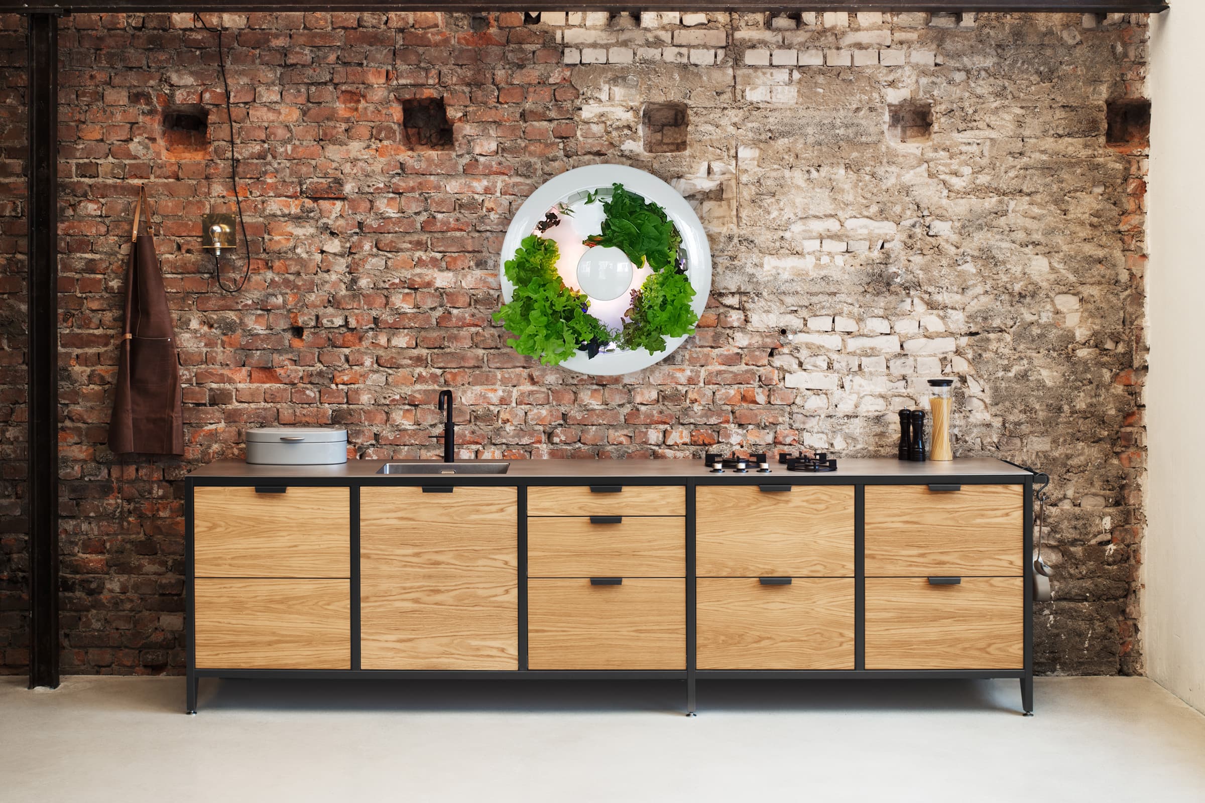 greenloop: Automatisierter Kräuter- und Salatanbau für zuhause